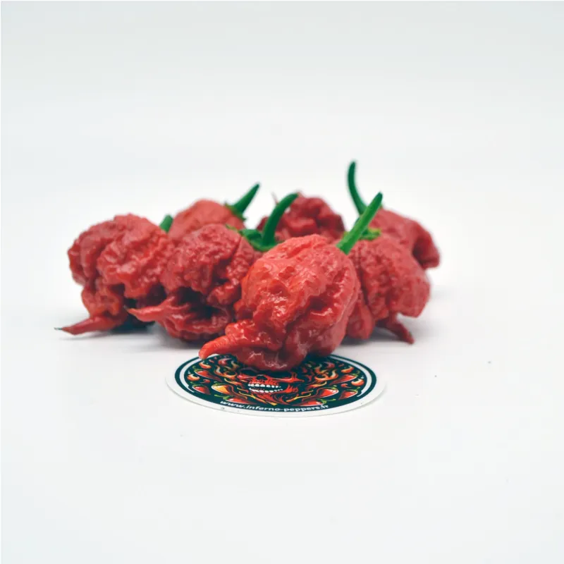 Carolina Reaper