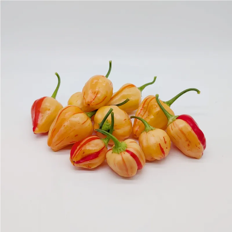 10 Graines de Peppapeach Stripey