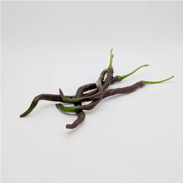 Plant de Thunder Cacho Brown