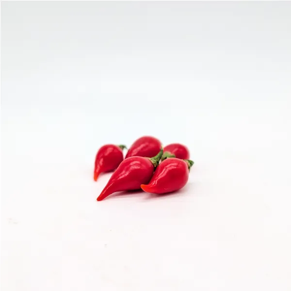 10 graines de Button Red