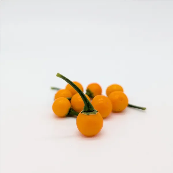 Charapita
