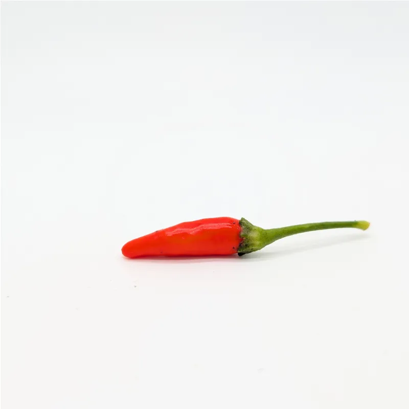 Plant de piment Tabasco - <p>Le <strong>Tabasco</strong> (<em>Capsicum frutescens</em>) est une variété de piment originaire de l’État mexicain du même nom. Célèbre pour être l’ingrédient principal de la fameuse sauce Tabasco® créée en Louisiane au XIXᵉ siècle, ce piment est apprécié pour son goût fruité, légèrement fumé et sa chaleur modérée mais bien présente. Ses fruits allongés et fins passent du vert au jaune, puis à un rouge éclatant à maturité. C’est une variété très productive, idéale pour les amateurs de piments de type « sauce » et pour les cultures en pot comme en pleine terre.</p><h3>Caractéristiques du plant :</h3><ul><li><strong>Type de Plant :</strong> <em>Capsicum frutescens</em> (Tabasco)</li><li><strong>Force :</strong> Environ <strong>30 000 à 50 000 unités Scoville</strong></li><li><strong>Couleur des Fruits :</strong> Vert → Jaune → Rouge vif à maturité</li><li><strong>Taille des Fruits :</strong> 3 à 5 cm de long</li><li><strong>Hauteur du Plant :</strong> 60 à 120 cm selon conditions de culture</li><li><strong>Type de Culture :</strong> Intérieur lumineux ou extérieur en plein soleil</li></ul><h3>Conditions de culture :</h3><ul><li><strong>Climat :</strong> Tropical à subtropical — sensible au froid et au gel</li><li><strong>Exposition :</strong> Plein soleil (au moins 6 h par jour)</li><li><strong>Type de Sol :</strong> Léger, bien drainé, riche en compost ou matière organique</li><li><strong>Arrosage :</strong> Régulier mais modéré — éviter l’excès d’eau</li><li><strong>Distance de Plantation :</strong> 45 à 60 cm entre chaque plant</li><li><strong>Récolte :</strong> 90 à 120 jours après plantation</li></ul><h3>Conseils d'entretien :</h3><ul><li>Pincer les jeunes pousses pour favoriser la ramification et la fructification.</li><li>Éviter les arrosages excessifs qui provoquent la chute des fleurs.</li><li>Fertiliser légèrement toutes les 2 à 3 semaines avec un engrais riche en potassium.</li><li>Le Tabasco préfère la chaleur constante (température idéale : 25–30°C).</li></ul><h3>Utilisations Culinaires :</h3><p>Le piment <strong>Tabasco</strong> est célèbre pour être la base de nombreuses sauces piquantes, notamment la sauce Tabasco® originale. Son goût fruité et légèrement vinaigré en fait un excellent choix pour :</p><ul><li>Les sauces et marinades</li><li>Les plats créoles, cajuns et mexicains</li><li>L’assaisonnement des viandes, poissons ou légumes grillés</li></ul><p>Il peut être utilisé frais, séché ou fermenté pour fabriquer vos propres sauces artisanales.</p>