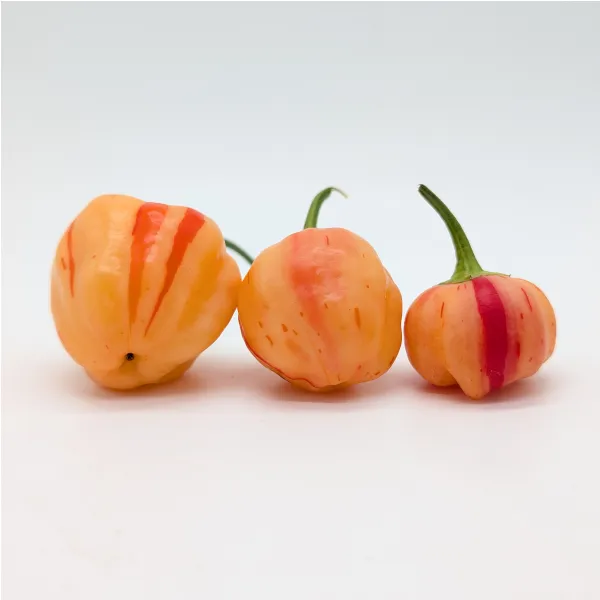 Peppapeach (Stripey ou Red)