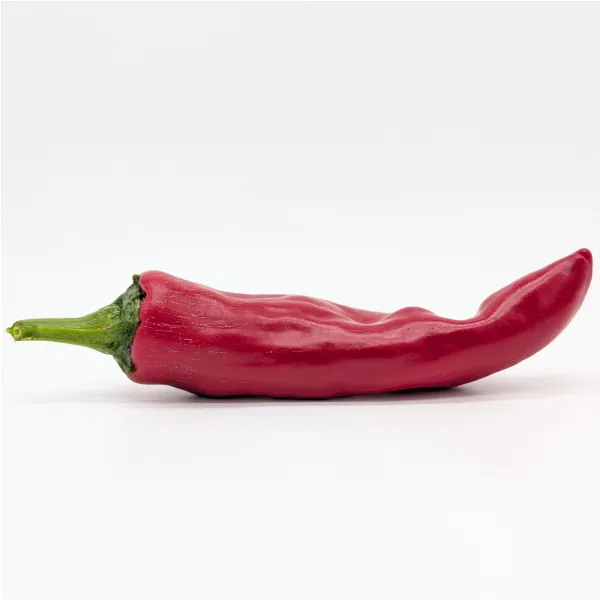 10 Graines de Navajo