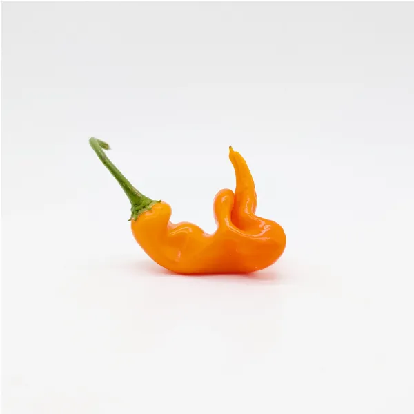 10 graines de piment Erotica