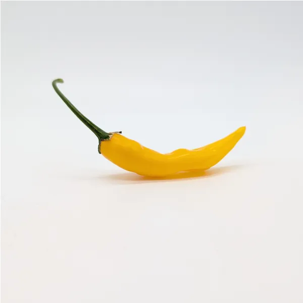 10 graines de Macska Sarga