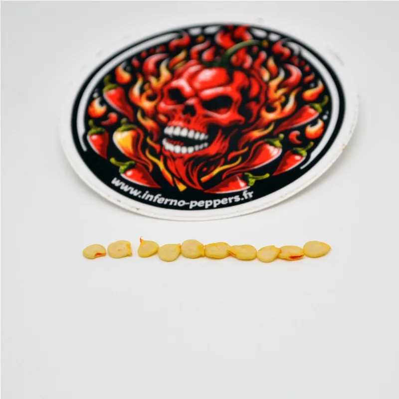 Graines De Piment Aji Charapita - 10 Graines Rouges + 10 Graines Jaunes - Piment Rare Amazonien Fruité Et Piquant