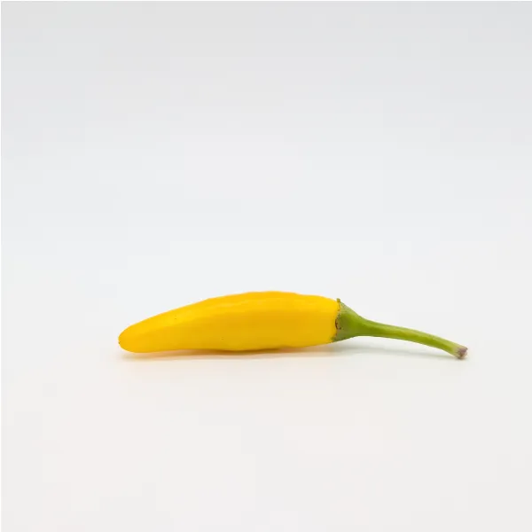 10 Graines de piment Sipka Zitronen