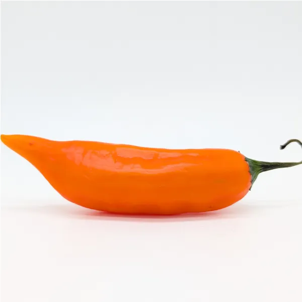 10 Graines de piment Amarillo