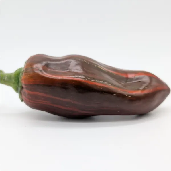 10 Graines de piment Candy Cane