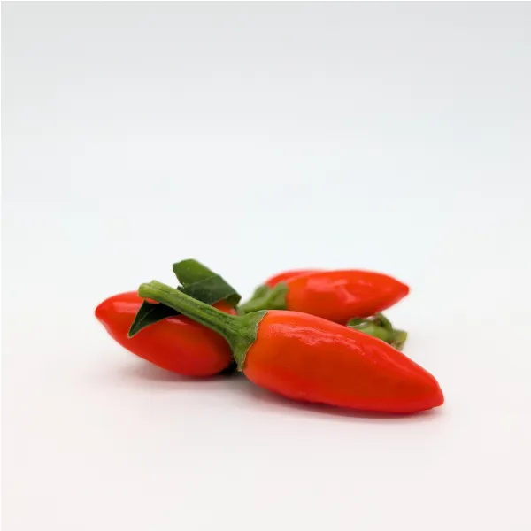 10 Graines de piment Stromboli