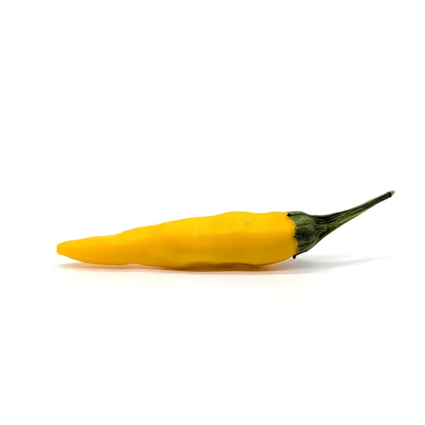 10 Graines de piment Cedrino