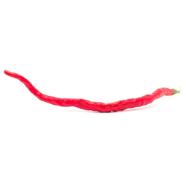 10 Graines de piment Thunder Mountain Longhorn