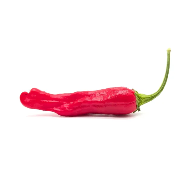 10 Graines de piment Shishito