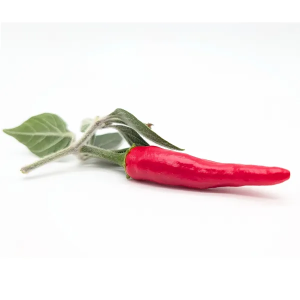10 Graines de piment Acrata