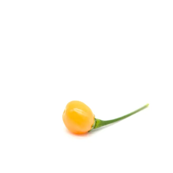 10 Graines de piment Charapita Peach