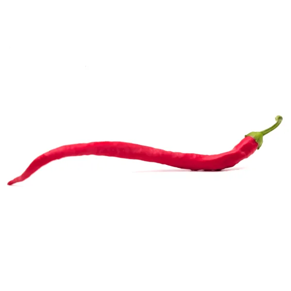 10 Graines de piment Corbaci