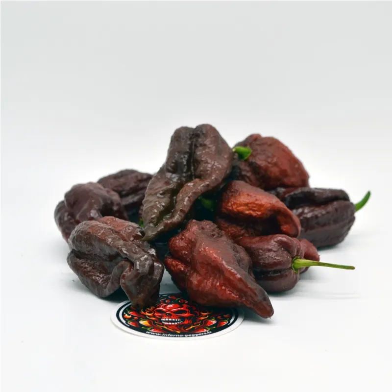 Chocolate Bhutlah