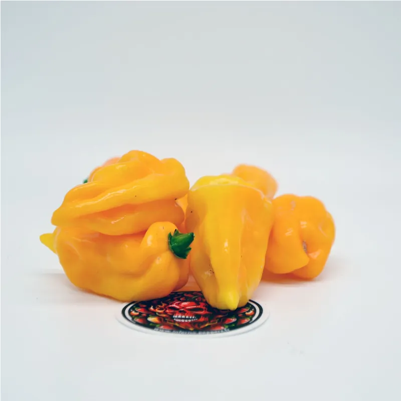 Yellow Naga