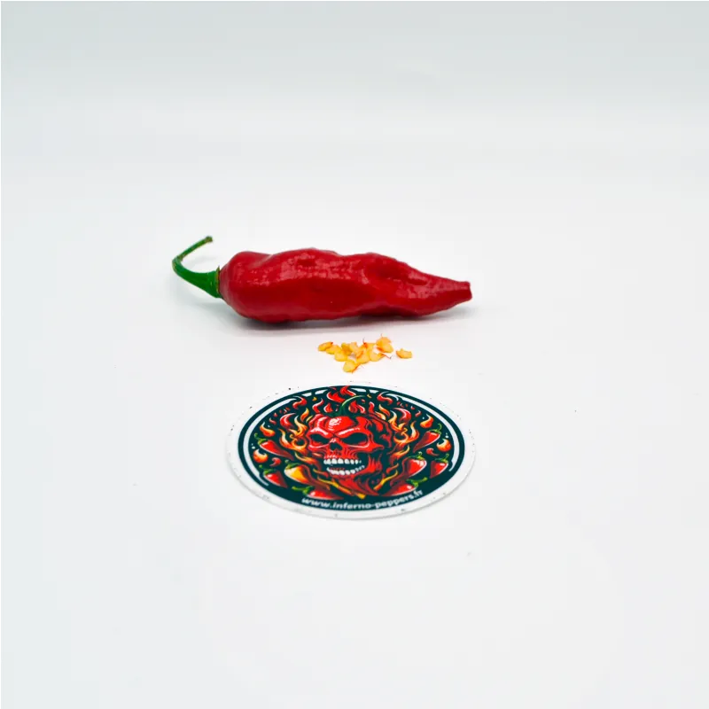 10 Graines de Bhut Jolokia (Ghost Pepper)