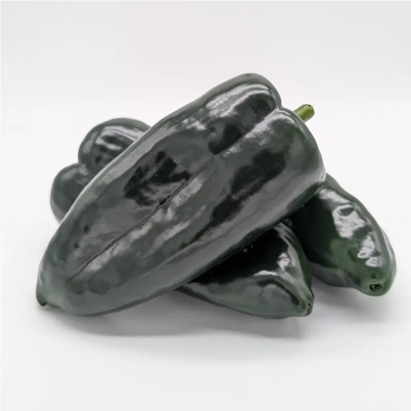 Poblano
