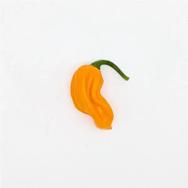 10 Graines de Fatalii